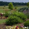 Garden Maintenance in Kingsport, Tennessee