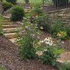 Natural Stone Walkways in Kingsport, TN